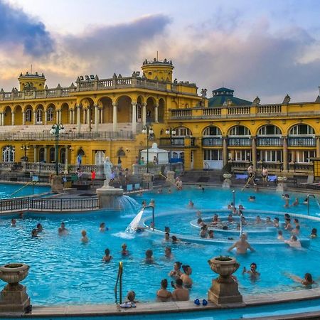 Varosliget Apartman Budapest Lejlighed Eksteriør billede